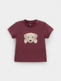 ����� �� 23.12  Crockid ������� (��������) �/��� �� �� 302907/���������� 1614 �6