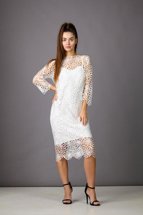 ����� ������ Rosheli 843/3 ��������