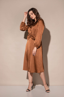 ����� ������ MisLana 717