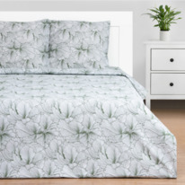 �������� ����������� ����� �� ���� �����������