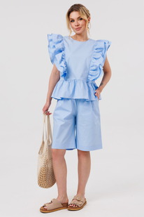 ����� AmberA 1051-3 �������