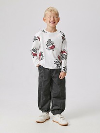 13.01 Acoola ����� �� ��������� ������� ��� ��������� Vetlug 20120160433 �����-�