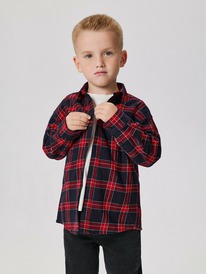 13.01 Acoola ������� ������� ������� ��� ��������� Bento 20130280040 ������� ���