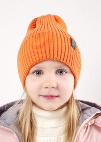 13.01 Clever ����� ������� CLE 523422�� ���������