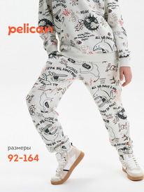 Pelican ����� ��� ��������� BFPQ3389/3 ��������