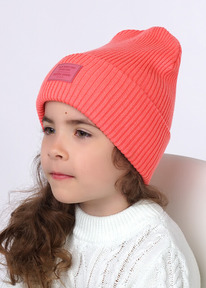 Clever ����� ������� ��� ������� CLE 603435�� ����������