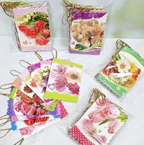 ����� ��������-�������� 10 ���� 