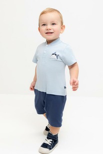 Crockid �������������� (��������) �/��� �� �� 6537/�������