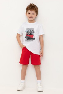 Crockid ����� ��� ��� �� 400810/������� �550