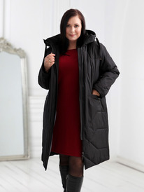 ������ DizzyWay 24418 ������