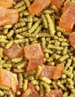 ��� ��������� � �����