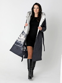 ������ DizzyWay 24406 �����/������