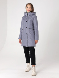 ������ DizzyWay 24339 �����