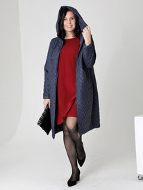 ������ DizzyWay 25118 �.�����