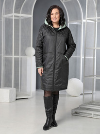 ������ DizzyWay 25117 ������