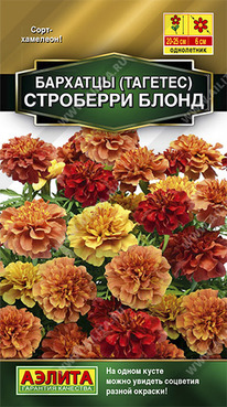 ��������� ����� �������� �����������