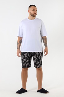 ����� ������� �����-6 ��-020 �����