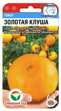 ����� ������� �����