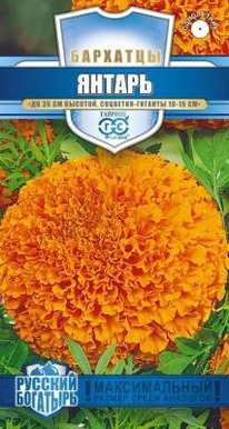 ������ �������� ����������