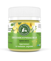 ����-���� ������������������, �������, 40 ��, �������� ����������� �����������