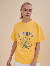 27.03  Pelican �������� ������� DFT6933/3U ������