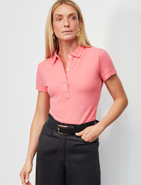 27.03  Vilatte ��������-����  �� ������������ ������ D49.087 ������