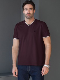 �������� � V-������� �� ������������ ������ � ���������