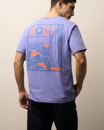 Oxouno ��������:���. ������ 12 OXO-2659-1243