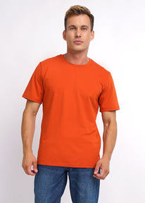 27.03  Clever �������� ������� CLE 600309�_� �.���������