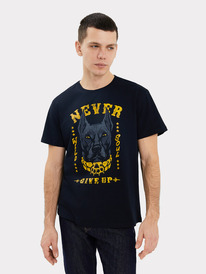 27.03  Mark Formelle �������� ������� 111831 111831 ������ +������3 75369