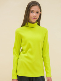 24.03 Pelican ������� ��� ������� GFJS3335 ������