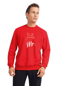 27.03  Clever ������� ������� CLE MSW420910 �������