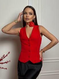 ����� DilanaVIP 2007 �������