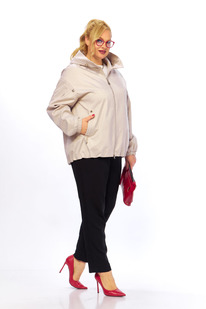 ������ SHETTI 2116 ������-���������