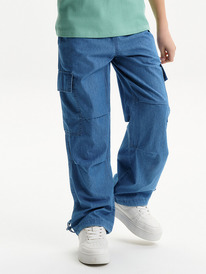 22.04 Pelican ����� ��� ��������� BGP3373 �����