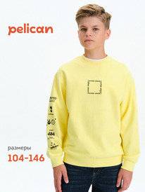 22.04 Pelican ��������� ��� ��������� BFN3377 ���������