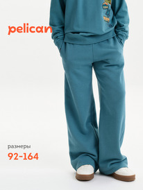 22.04 Pelican ����� ��� ��������� BFPQ3387 �����