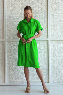 65081 ������ ��������� �����