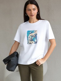 14.04 Vilatte �������� D49.145 �����_everyday