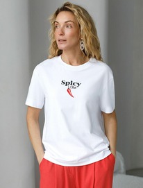 14.04 Vilatte �������� D49.145 �����_spicy