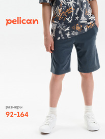 22.04 Pelican ����� ��� �������� BFH3369/1/1U �����