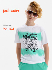 22.04 Pelican �������� ��� ��������� BFT3389 �����