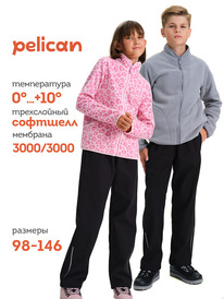 22.04 Pelican ����� ������� UZPS3376 ������