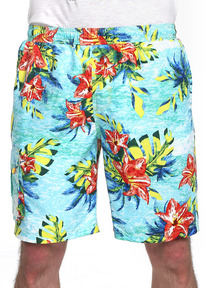 �����  Clever ����� ������� CLE 563369pk ��.������/���������