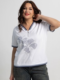 ����� LT Collection �15479-20�