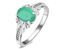 ������, ������� ������, SL-RIC109