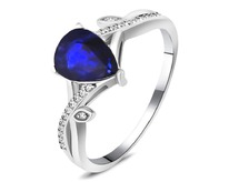 ������, ������ ������, SL-RIC106