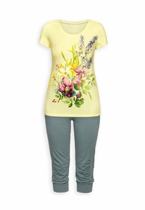 02.05  Pelican ������ ������� PTB683 Lemon