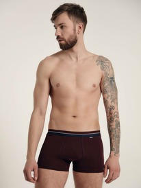 22.05 DiWaRi ����� ������� DIWARI PREMIUM SHORTS 755 17�-440��� bordo MSH 755 (�