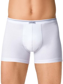 22.05 DiWaRi ����� ������� DIWARI SHORTS MSH 015 8�-115��� white MSH 015 (� ����